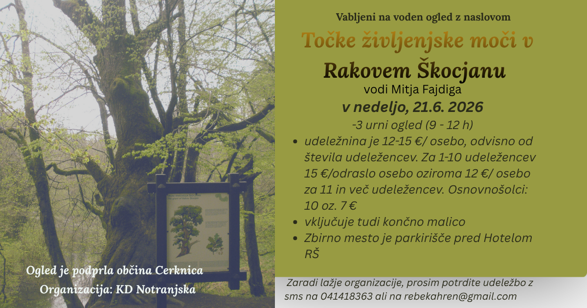 Točke moči